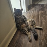 Entry image for Cash 