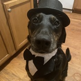 Entry image for River