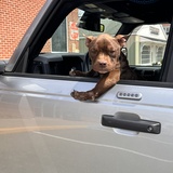 Entry image for Ernie