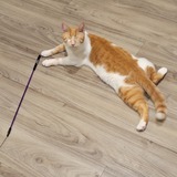 Entry image for Ajax