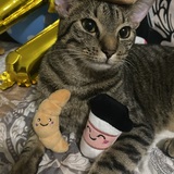 Entry image for Oatmeal