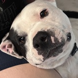 Entry image for Concrete