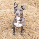 Entry image for Moony