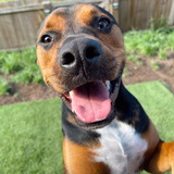 Entry image for Cooper Lee