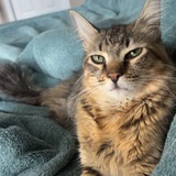 Entry image for Nero