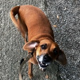 Entry image for Vern