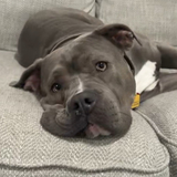 Entry image for Sunday