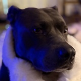 Entry image for Gretchen Von Olson