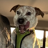 Entry image for Jugeunkkae …. aka Juju