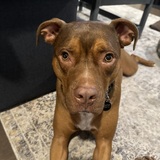 Entry image for Madmartigan