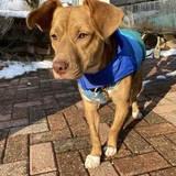 Entry image for Wrigley 