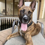 Entry image for Sailor