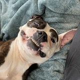 Entry image for Kirby