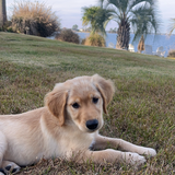 Entry image for Boca