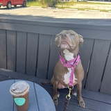 Entry image for Issy