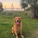 Entry image for Callaway