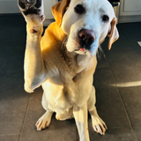 Entry image for Tucker Max’s