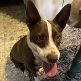 Entry image for Miley smiley