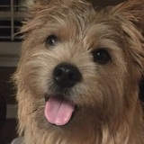 Entry image for Chester