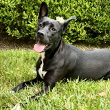 Entry image for Madison 