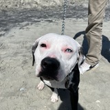 Entry image for Quest