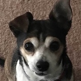 Entry image for Henry