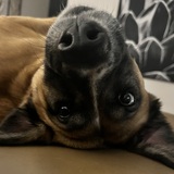 Entry image for Ellie