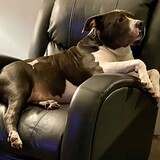 Entry image for Nikko