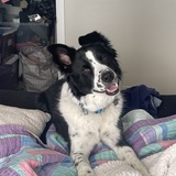 Entry image for Ralph