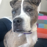 Entry image for Marnie