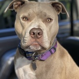 Entry image for Suzy 