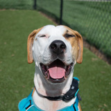 Entry image for Caitlyn Brown