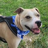 Entry image for Bill