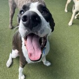 Entry image for Bucket