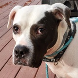 Entry image for Tube 