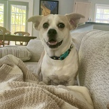 Entry image for Charles 