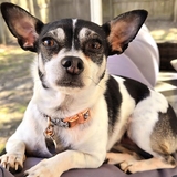 Entry image for Betty Marie Coleman