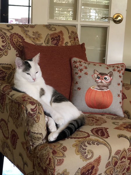 Entry image for Carl. Clicking this image will show a larger photo