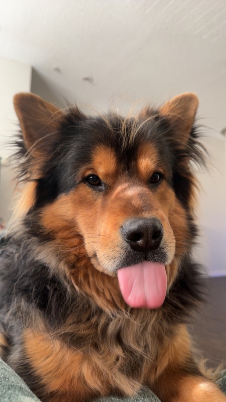 Entry image for Malakai. Clicking this image will show a larger photo