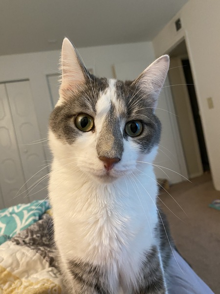 Entry image for Hineni . Clicking this image will show a larger photo