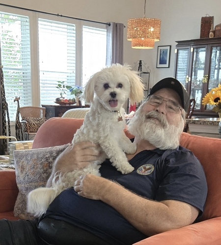 Entry image for Ringo. Clicking this image will show a larger photo