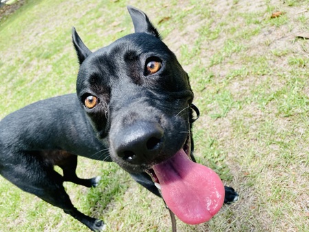 Entry image for Sophie. Clicking this image will show a larger photo