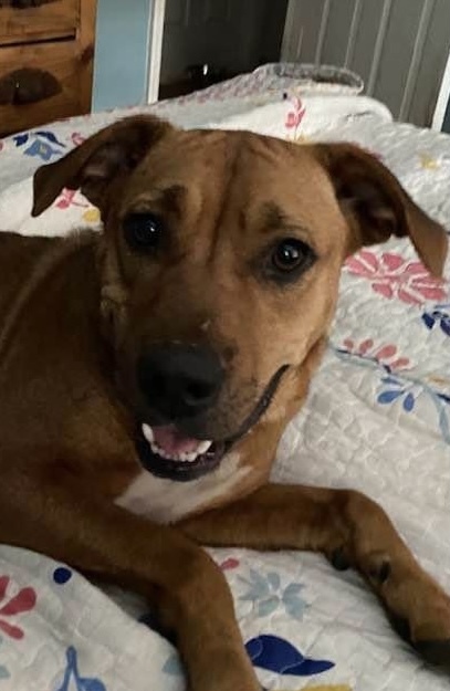 Entry image for Jessie. Clicking this image will show a larger photo