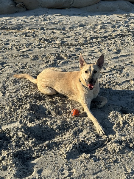 Entry image for Dudley . Clicking this image will show a larger photo