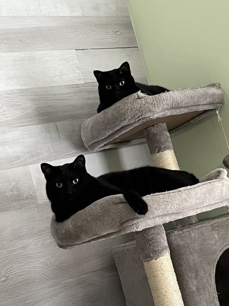 Entry image for Fred and Barny. Clicking this image will show a larger photo