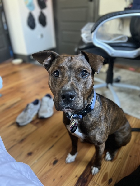 Entry image for Kobe. Clicking this image will show a larger photo