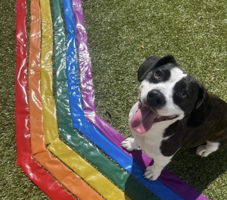 Entry image for London. Clicking this image will show a larger photo