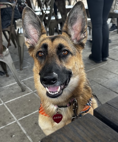 Entry image for Kaida. Clicking this image will show a larger photo