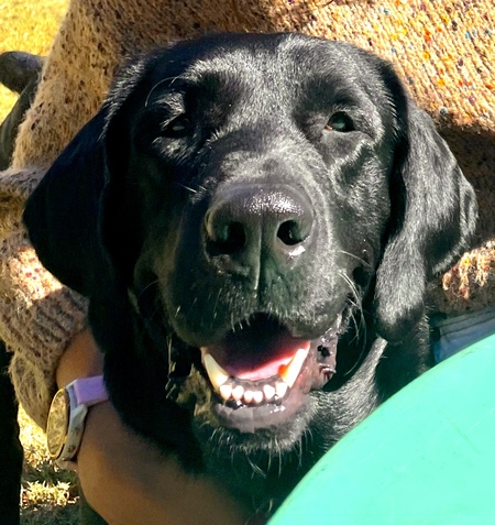 Entry image for Storm. Clicking this image will show a larger photo