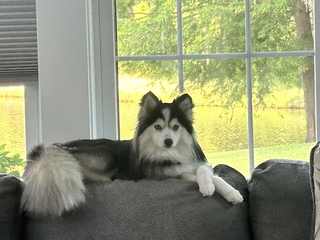 Entry image for Sora. Clicking this image will show a larger photo